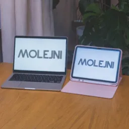 Laptop i tablet obok siebie na drewnianym stole, oba wyświetlają logo 'MOLEJNI', za nimi zasłona i roślina doniczkowa.