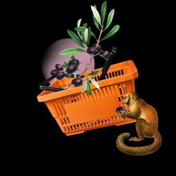 Realizujemy strony i sklepy internetowe.