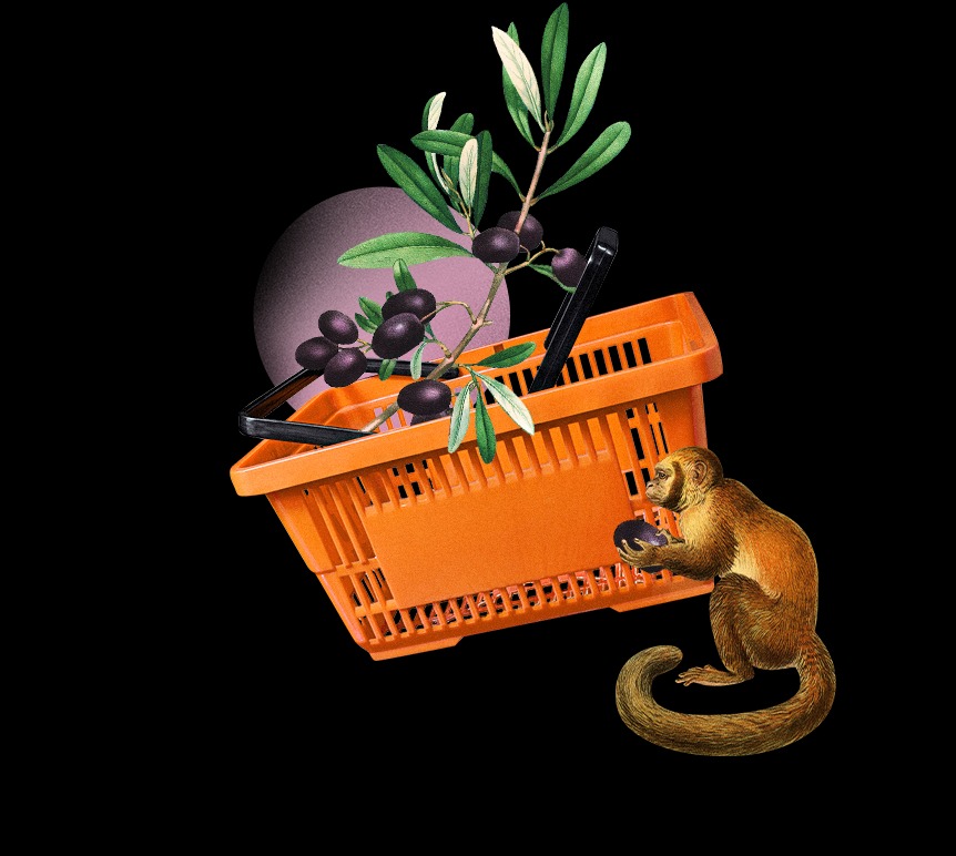 Realizujemy strony i sklepy internetowe.