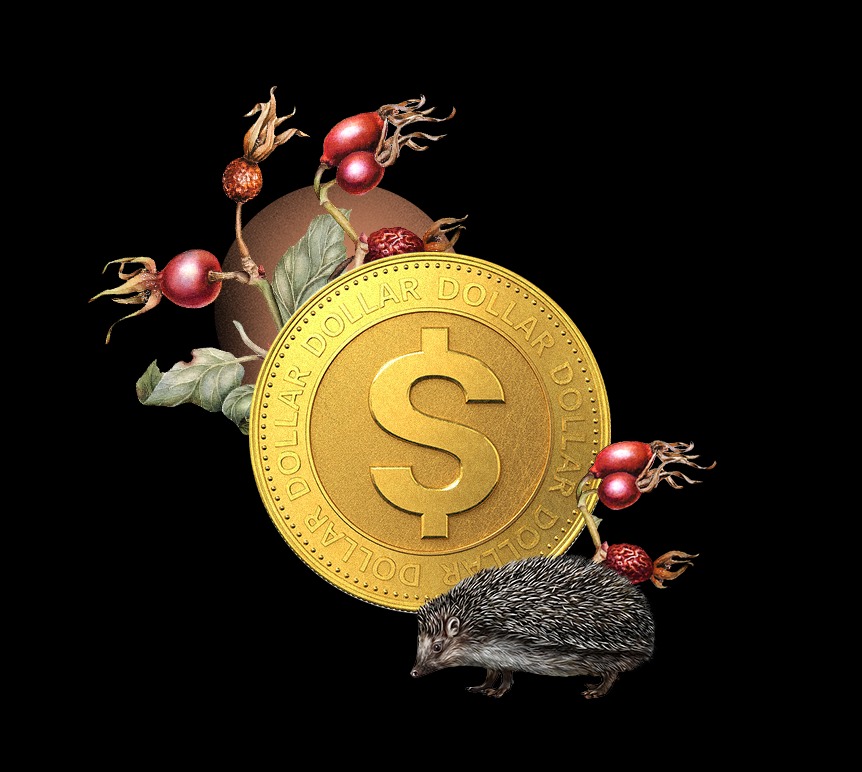 Prowadzimy kampanie reklamowe w Meta i Google Ads