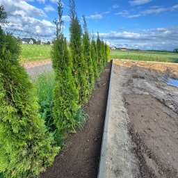 Fundamenty Olsztynek 4