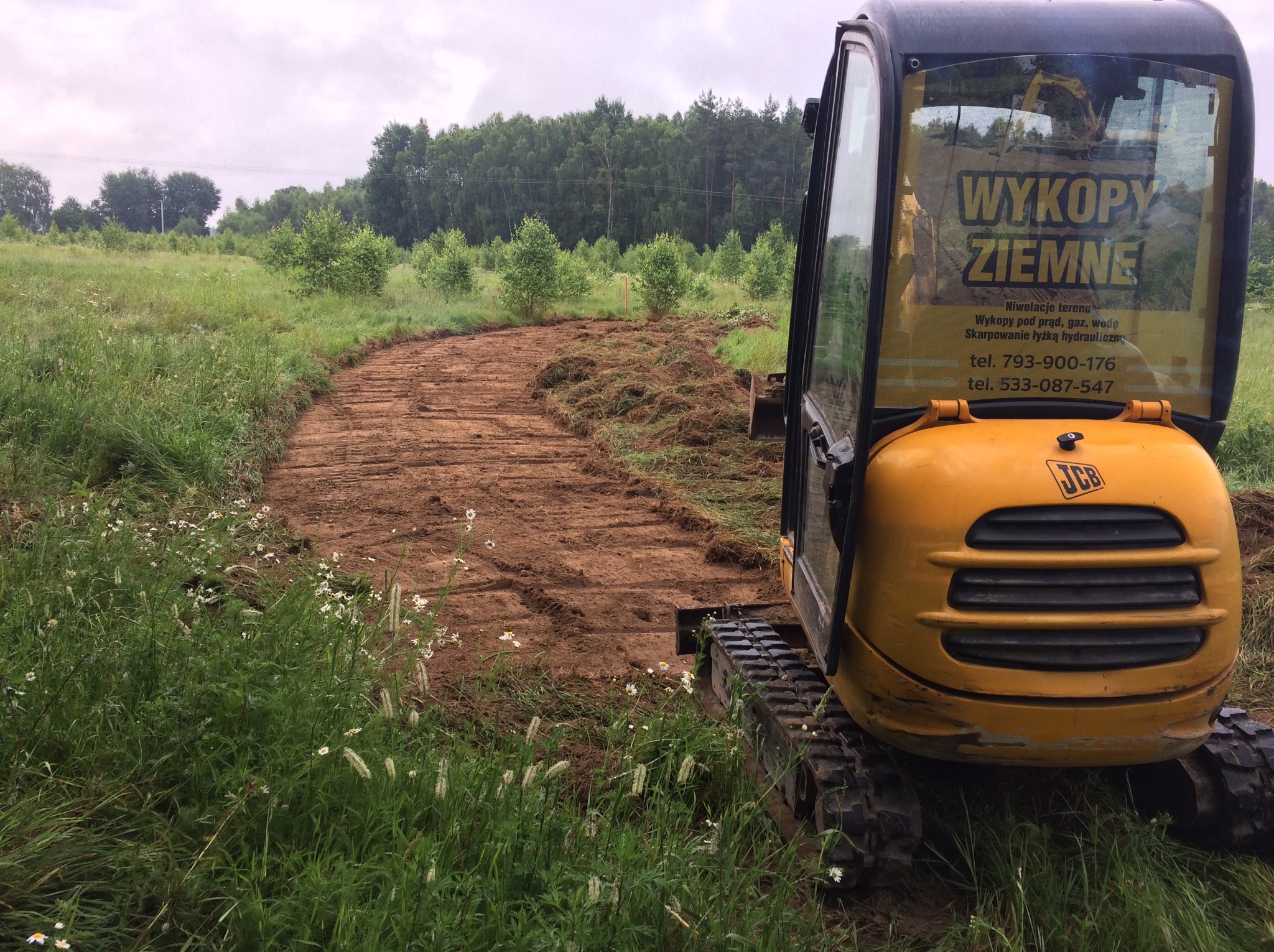 Żółta mini koparka JCB na polu z wykopanym pasem ziemi, widoczny napis 'Wykopy Ziemne' na szybie kabiny, w tle zielone drzewa i pochmurne niebo.
