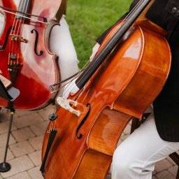 Dolcello - Oprawa Muzyczna - Dwaj mężczyźni siedzą na krzesłach, trzymając wiolonczele na tle zielonego trawnika i kostki brukowej.
