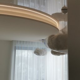 Płyta karton gips Morawica 3