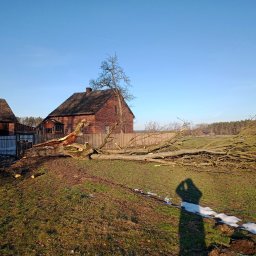 Arbo-man - Pierwszorzędna Ścinka Drzew Sosnowiec