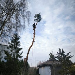 Arbo-man - Dobre Usługi Ogrodnicze Sosnowiec