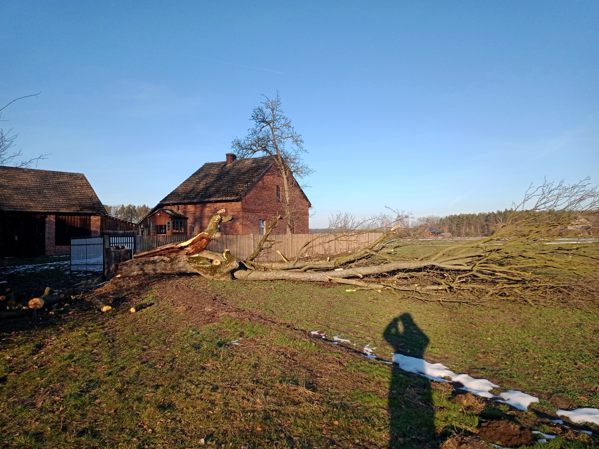 Tutaj już moment po udanym położeniu klona.