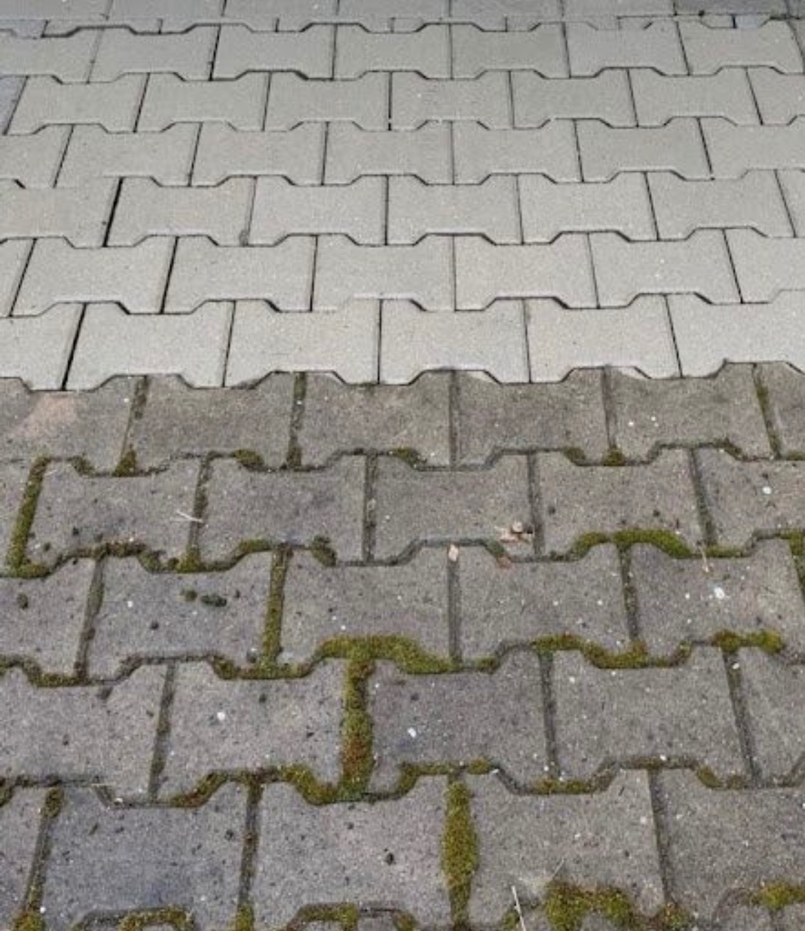 Częściowo wyczyszczona kostka brukowa typu 'H' z widoczną różnicą w kolorze i porostem mchu w fugach na nieoczyszczonej powierzchni.