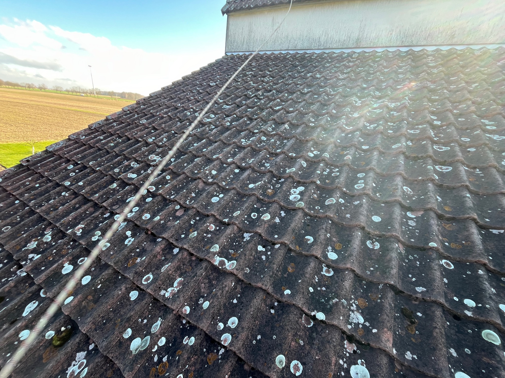 Ciemna dachówka pokryta białymi plamami mchu i porostów, z liną zabezpieczającą biegnącą ukośnie przez kadr, widok z góry na pole w tle.