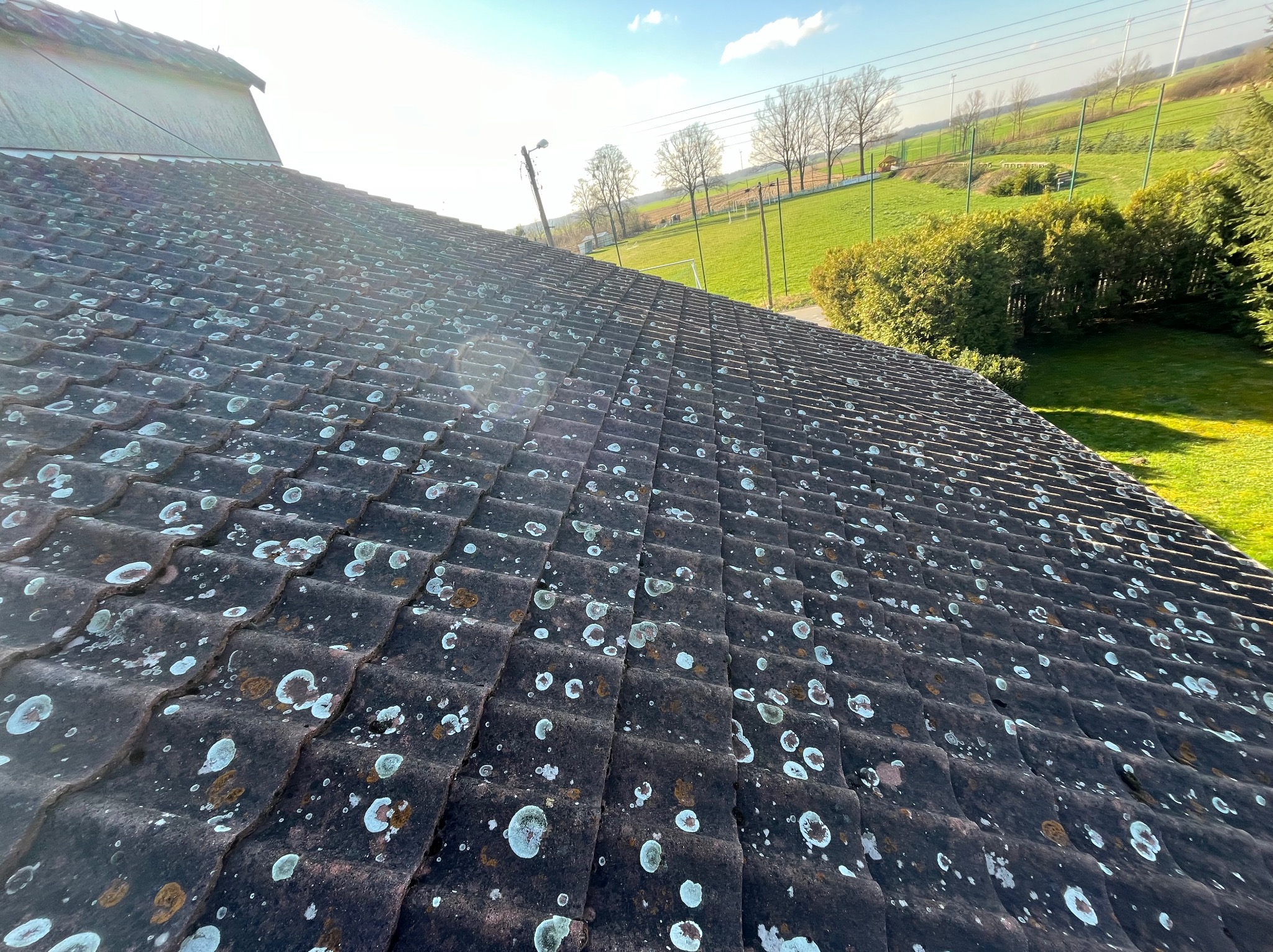 Ciemna dachówka pokryta białymi i brązowymi plamami mchu, widok z góry na tle zielonego krajobrazu z drzewami i polem, słoneczny dzień.