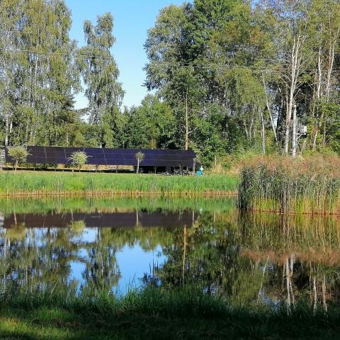 Długi rząd paneli słonecznych odbija się w spokojnej tafli stawu, otoczonego zielenią drzew i trzcin.