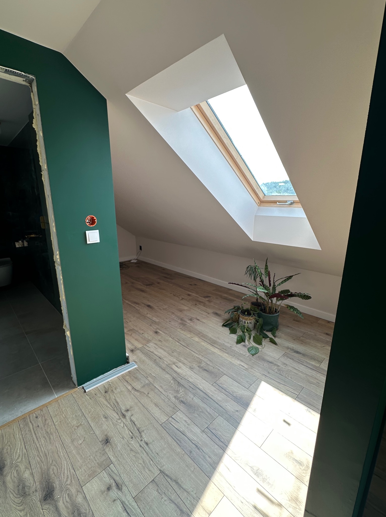 Poddasze po remoncie: zielona ściana z gniazdkiem, drewniana podłoga, okno dachowe z widokiem na zieleń, rośliny doniczkowe. Widoczne wejście do łazienki.