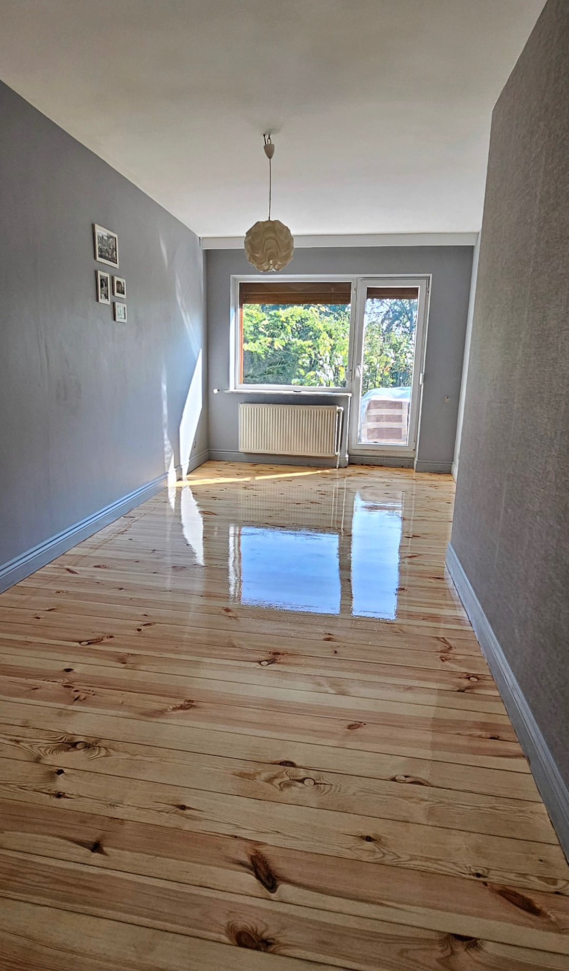 Jasne, lakierowane deski podłogowe w pokoju z szarymi ścianami, okno z widokiem na zieleń, odbicie okna w połyskującej podłodze.