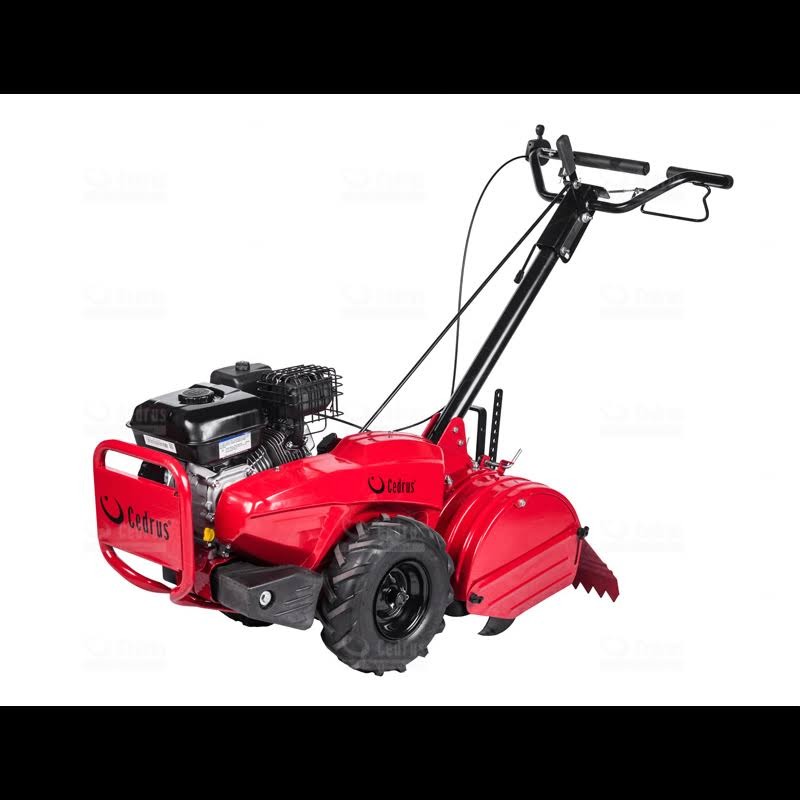 Czerwony glebogryzarkowy kultywator marki Cedrus, widok z boku, opony z agresywnym bieżnikiem, silnik spalinowy.