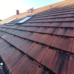 Łukasz JACHIMOWICZ - Czerwona dachówka z widocznymi trzema oknami dachowymi i zabrudzeniami, w tle komin i drzewa, ujęcie z dołu.