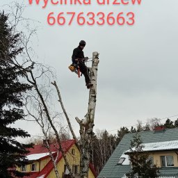 Malowanie dachów Teresin 4