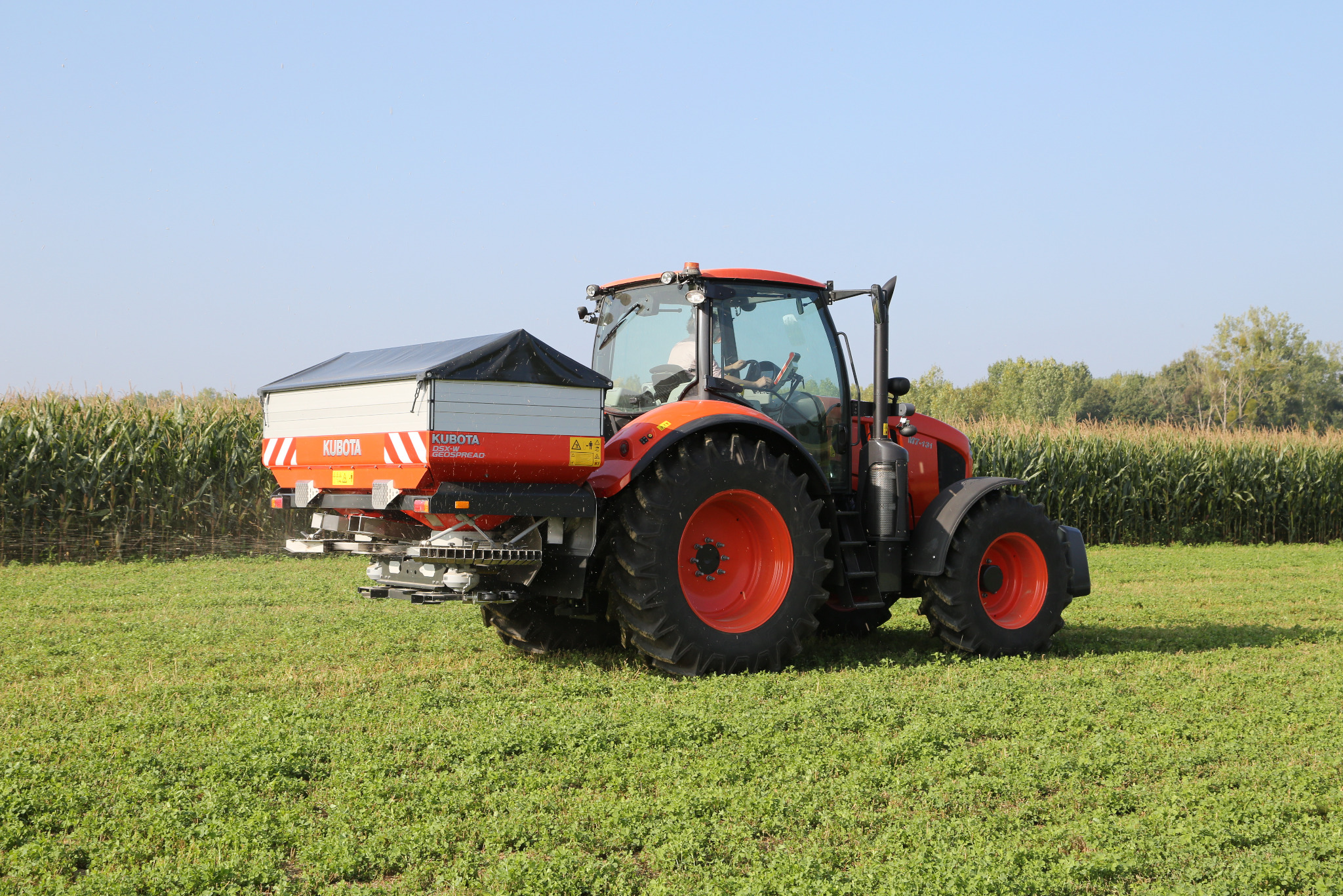 Czerwony ciągnik Kubota z rozsiewaczem nawozów w trakcie pracy na polu, w tle widoczne wysokie kukurydze i błękitne niebo.