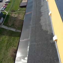 Trawy Łan Michał Łucewicz - Po czyszczeniu.