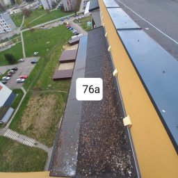 Trawy Łan Michał Łucewicz - Przed czyszczeniem.