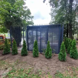 Wykonanie na sadzeń tuj oraz bluszczu wokół wiaty śmietnikowej.