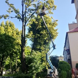 Trawy Łan Michał Łucewicz - Praca na wysokości: wycinka uschniętych gałęzi drzewa z użyciem podnośnika koszowego na tle miejskiej zabudowy i zieleni. Widoczny operator w koszu i pracownik obsługujący maszynę.