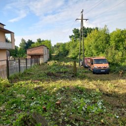 Trawy Łan Michał Łucewicz - Solidne Usuwanie Drzew Sosnowiec