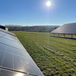 Trawy Łan Michał Łucewicz - Fantastyczne Sadzenie Drzew Sosnowiec