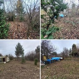 Trawy Łan Michał Łucewicz - Czteropanelowe ujęcie terenu po wycince drzew: widoczne pnie, gałęzie i uprzątnięty teren z pozostałościami po drzewach. Częściowo widoczny budynek w tle.