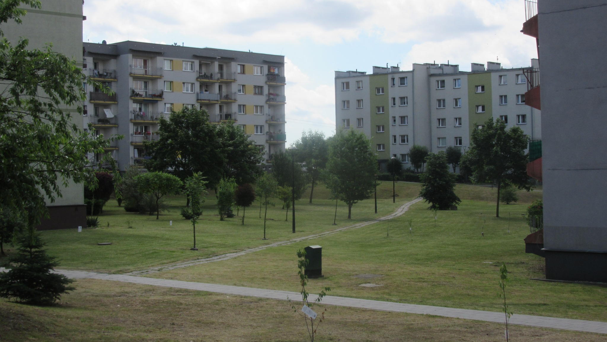 Osiedlowy trawnik z młodymi drzewkami i ścieżką, na tle bloków mieszkalnych w słoneczny dzień. Widoczny kosz na śmieci.