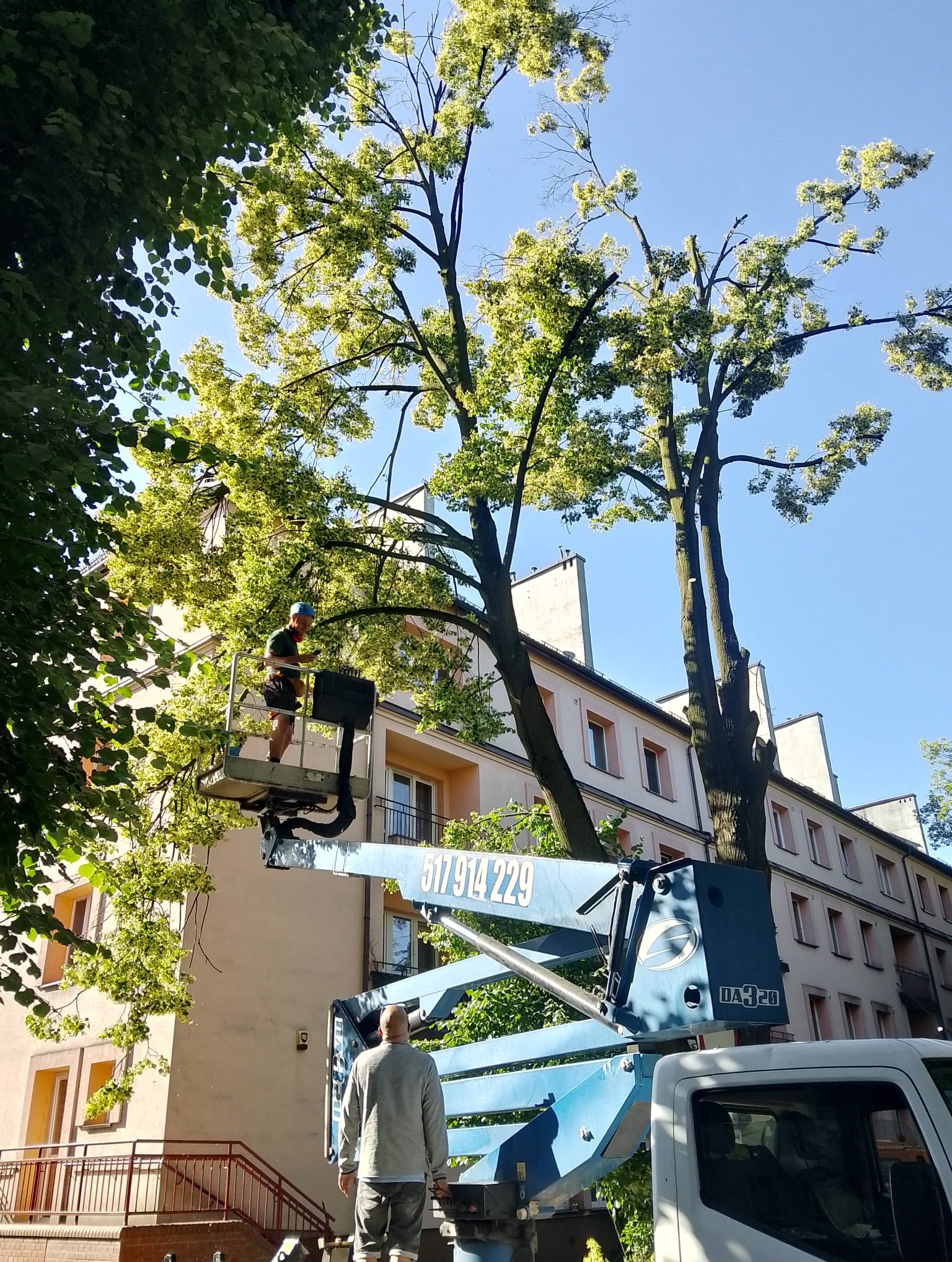 Pracownik na podnośniku tnie gałęzie drzewa w pobliżu budynku mieszkalnego. Widoczny drugi pracownik na ziemi i fragment pojazdu. Słoneczny dzień.