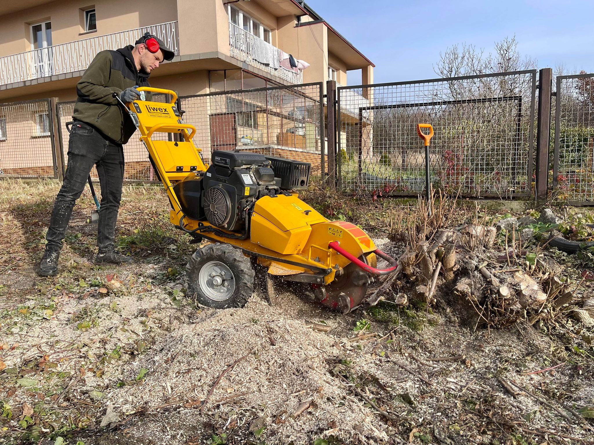 Pracownik frezuje pień drzewa frezarką Laski f460 ei. Wokół widać wióry i resztki po frezowaniu. W tle budynek mieszkalny i ogrodzenie.