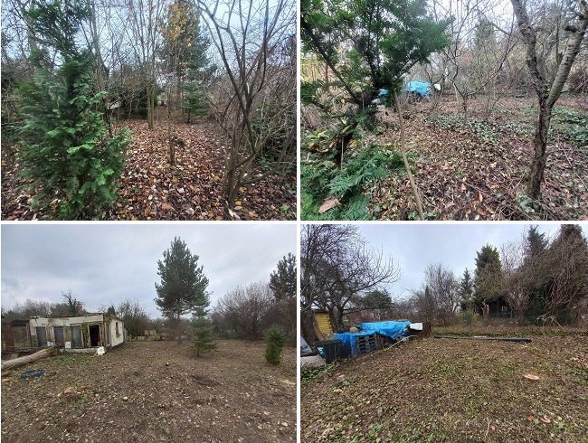 Czteropanelowe ujęcie terenu po wycince drzew: widoczne pnie, gałęzie i uprzątnięty teren z pozostałościami po drzewach. Częściowo widoczny budynek w tle.