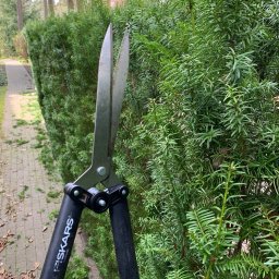 MAGPOL Magdalena Polańska - Przycinanie żywopłotu z iglaków nożycami Fiskars, widoczne świeżo obcięte gałązki i równa linia cięcia w tle.