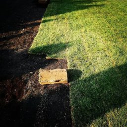 MAGPOL Magdalena Polańska - Fragment układania trawy z rolki, widoczna granica świeżo ułożonego trawnika i przygotowane podłoże z rolką trawy w centrum kadru.