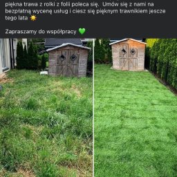 Trawa z rolki Warszawa 1