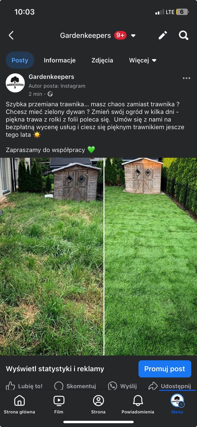 Trawnik przed i po: zarośnięta darń kontra równa, zielona murawa. Dwa ujęcia z tego samego miejsca, oddzielone pionową linią. W tle drewniany domek narzędziowy.