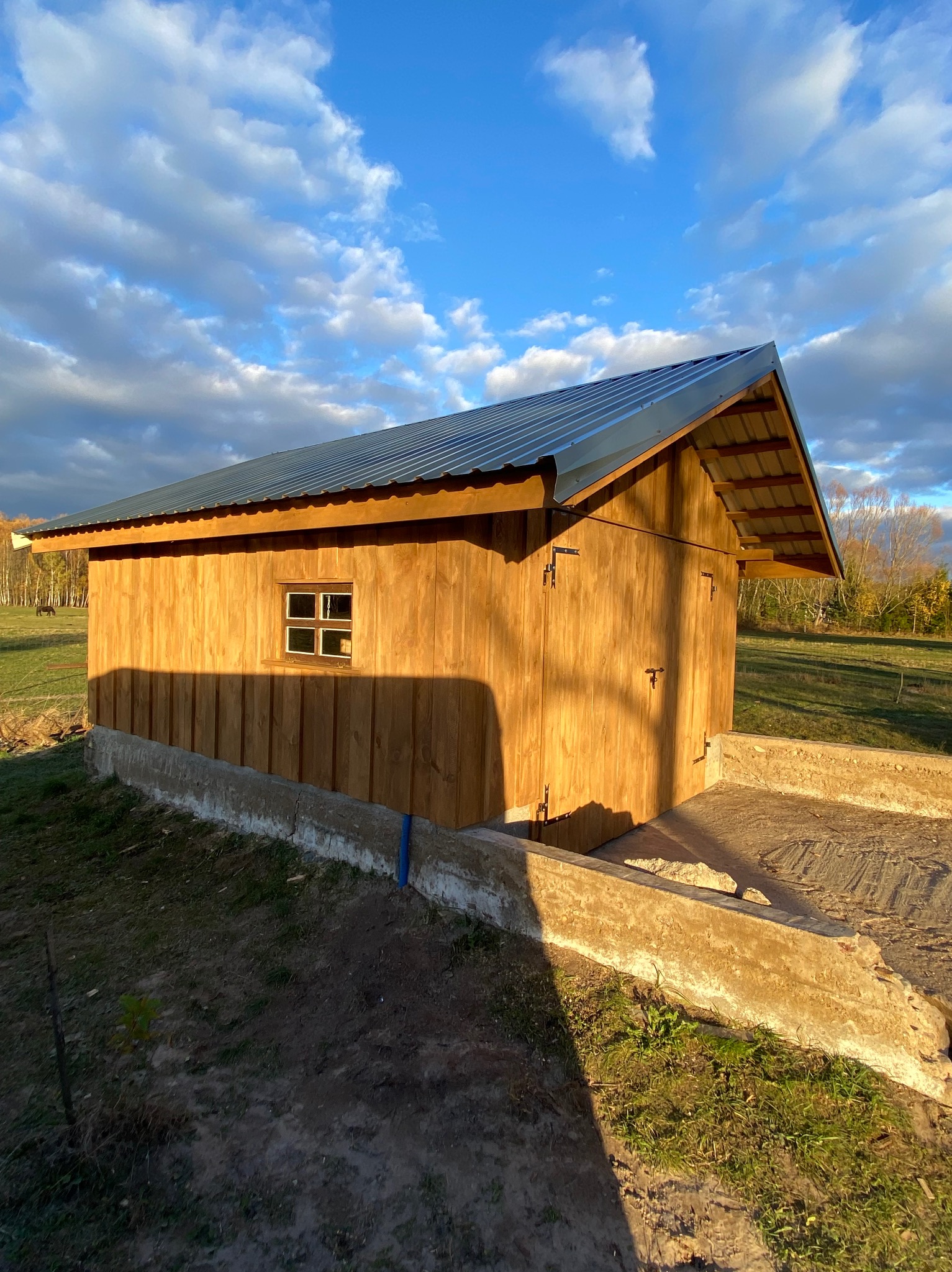 Drewniana konstrukcja z metalowym dachem i małym oknem, w tle łąka i drzewa, oświetlona popołudniowym słońcem.