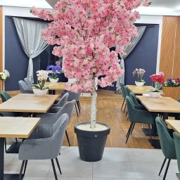 Sebastian Buczkowski - Sprzątanie Jastrzębie-Zdrój