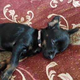 Mateusz Skórski - Montaż Paneli Wrocław