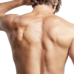Art Clinik Kraków - Chirurgia Plastyczna - Medycyna Estetyczna - Kosmetologia - Męskie plecy z widocznymi mięśniami, jasne oświetlenie, widok z tyłu, dłoń na karku.