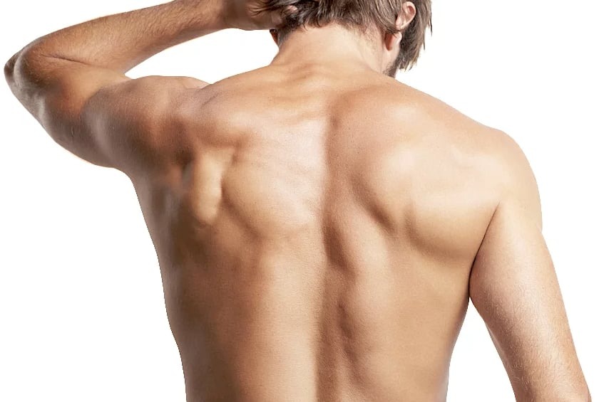 Męskie plecy z widocznymi mięśniami, jasne oświetlenie, widok z tyłu, dłoń na karku.
