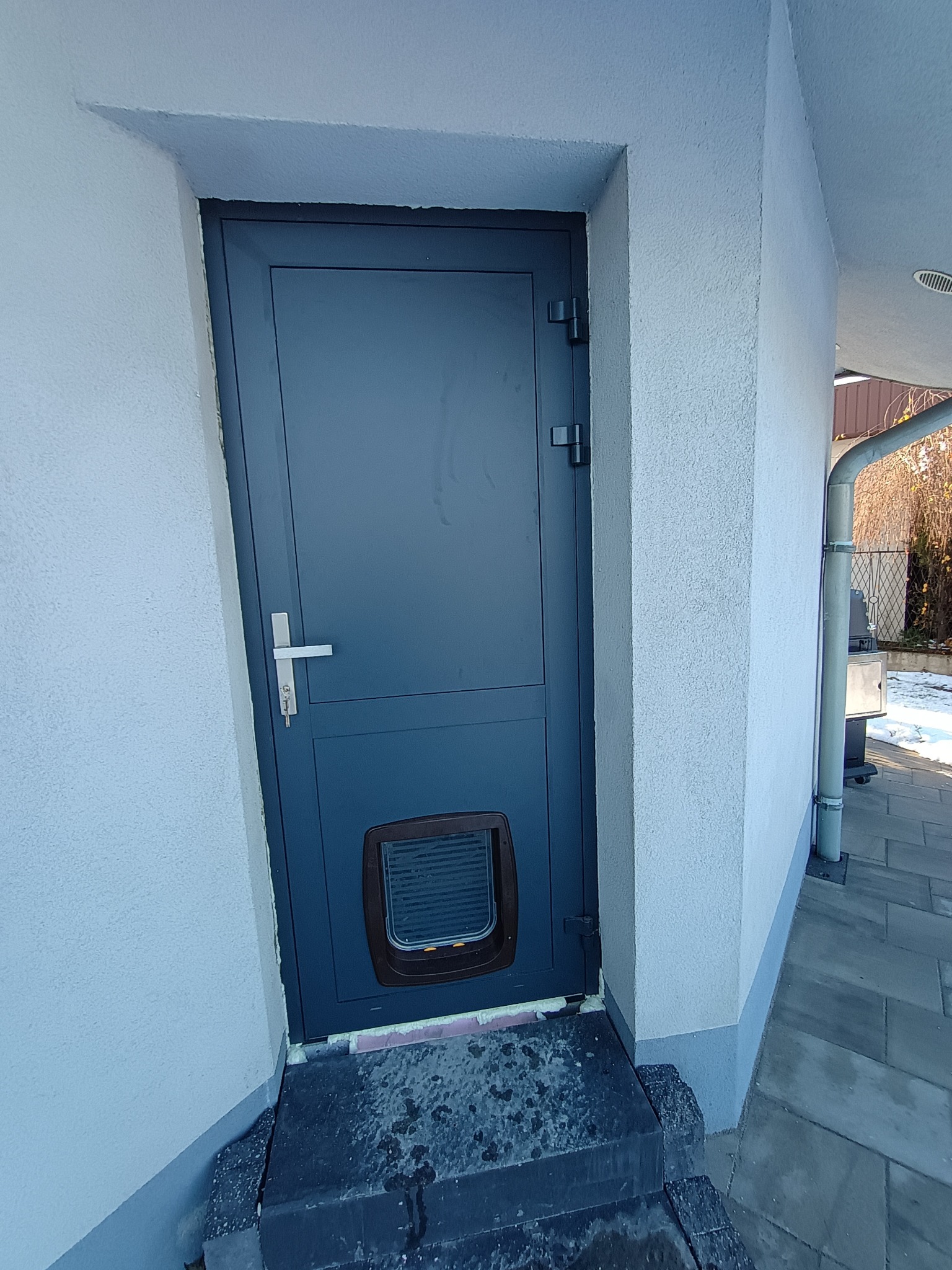 Zewnętrzne, stalowe drzwi w kolorze grafitowym z zamontowanym okienkiem dla zwierząt, prowadzące do budynku o białej, chropowatej elewacji.