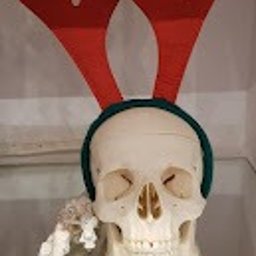 Trener personalny Gdańsk 4