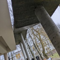 MICHAŁ MAŁYSZKO STANY SUROWE - Surowa betonowa konstrukcja stropu wsparta na okrągłych filarach, widok z dołu w kierunku nagich drzew i budynku w tle.