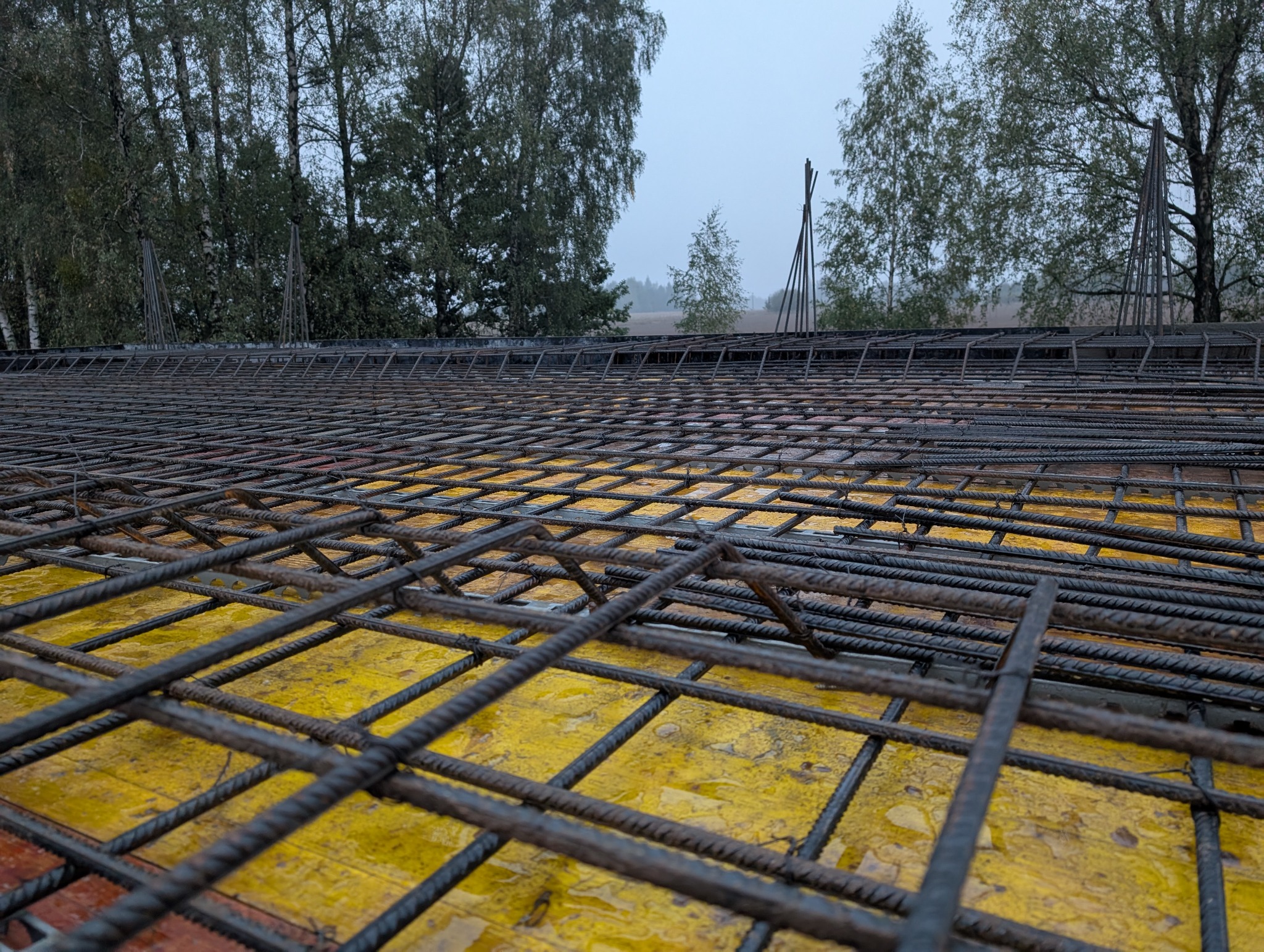 Siatka zbrojeniowa ułożona na żółtym szalunku, widok z bliska, w tle drzewa i pochmurne niebo.