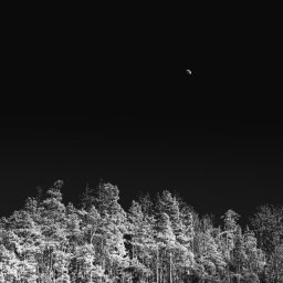 Fotograf ślubny Wałbrzych 4