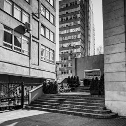 Łukasz Czajkowski - Czarno-białe zdjęcie miejskiej przestrzeni z budynkami, schodami, roślinami w donicach i metalową bramą z graffiti. W tle wysoki budynek z anteną.