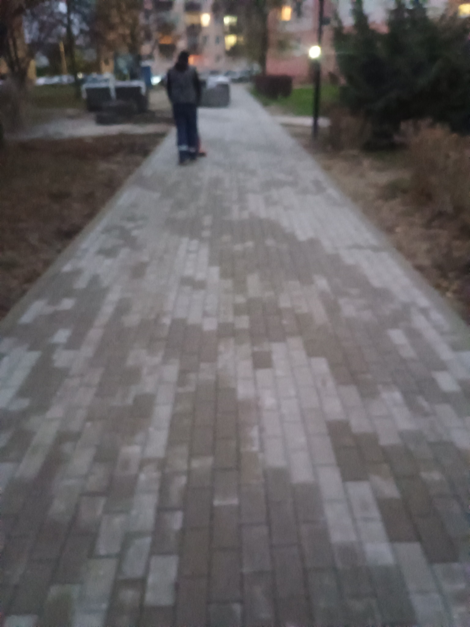 Ułożona ścieżka z kostki brukowej w parku miejskim, osoba w oddali, wieczorne oświetlenie.