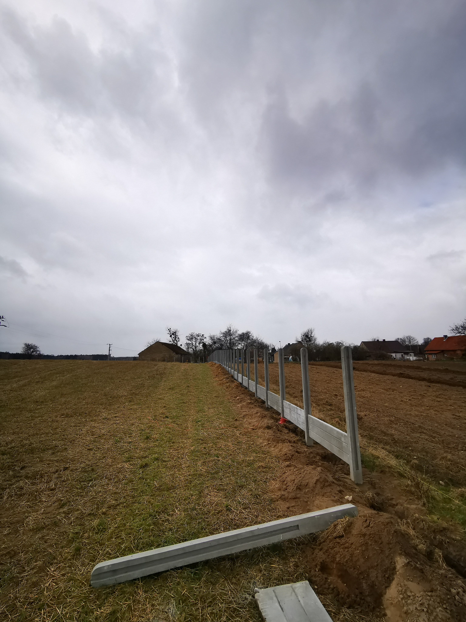 Wznoszone ogrodzenie betonowe z prefabrykatów na polu uprawnym, widoczne słupki i podmurówka w trakcie montażu, fragmenty wykopu wzdłuż linii ogrodzenia.