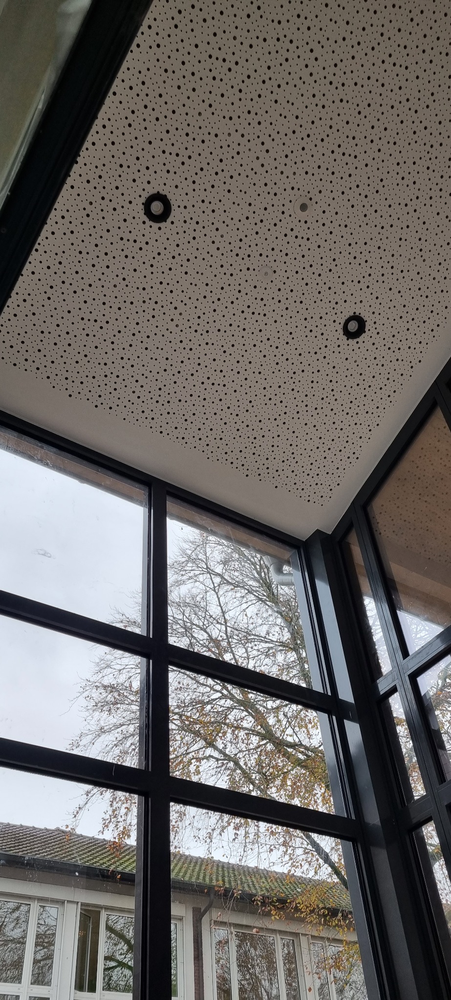 Perforowany sufit podwieszany z widocznymi punktami oświetleniowymi i dużym oknem z czarną ramą, przez które widać drzewo i budynek.